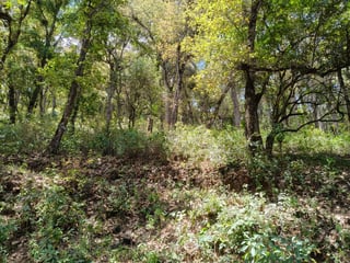 VENTA DE AMPLIO TERRENO 4,460VR2 - EL ENCINAL, MIXCO  - 2