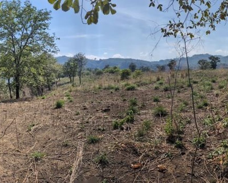 Km23 carretera Atlantico / Finca en venta