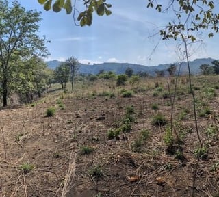 Km23 carretera Atlantico / Finca en venta