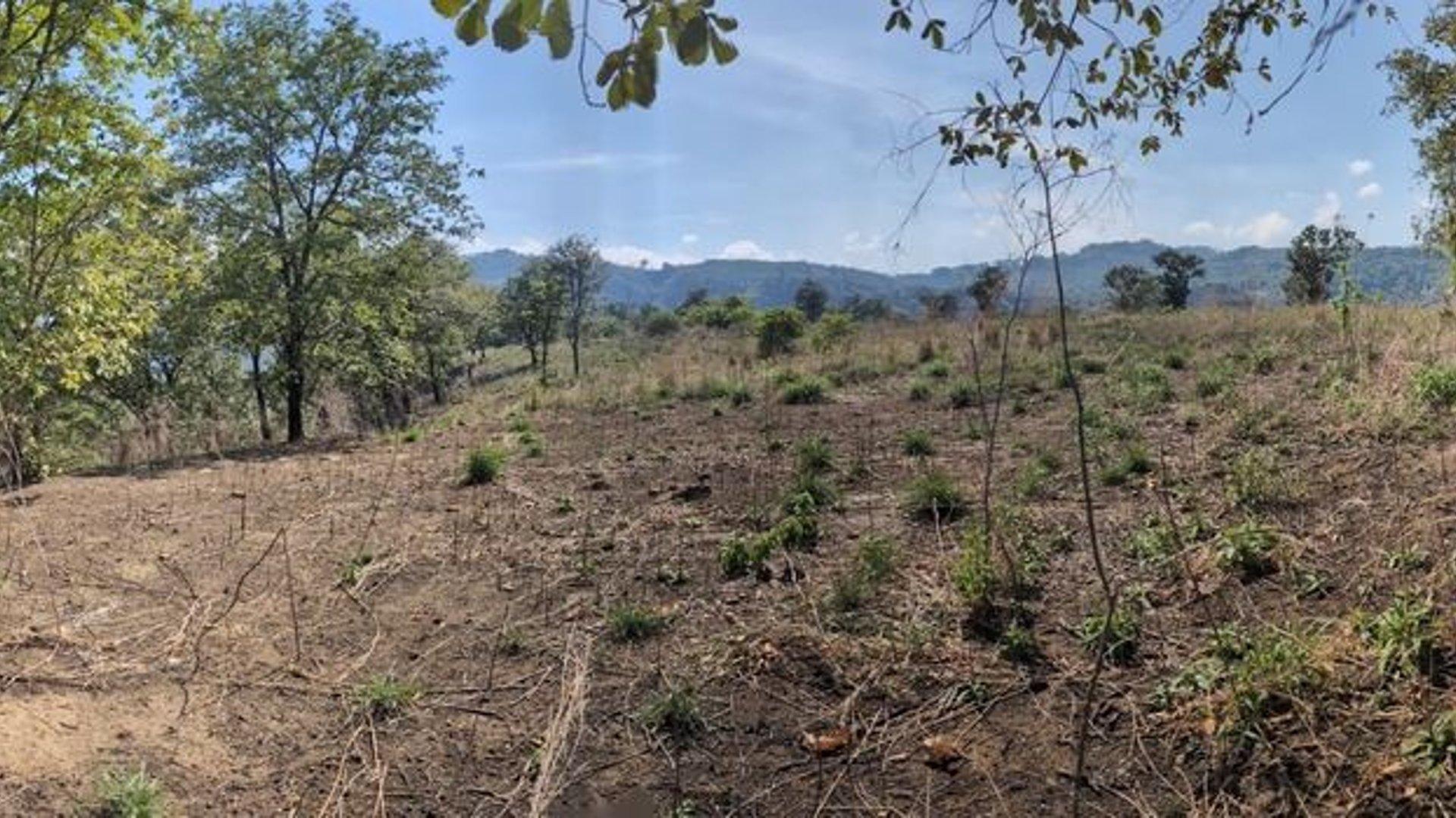 Km23 carretera Atlantico / Finca en venta