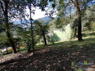 Granja en Venta Santo Tomas Milpas Altas, Sacatepequez - 3
