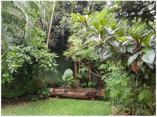 Zona 16 Terreno en venta para Desarrollo por Bulevard Acatan, zona 16 - 5