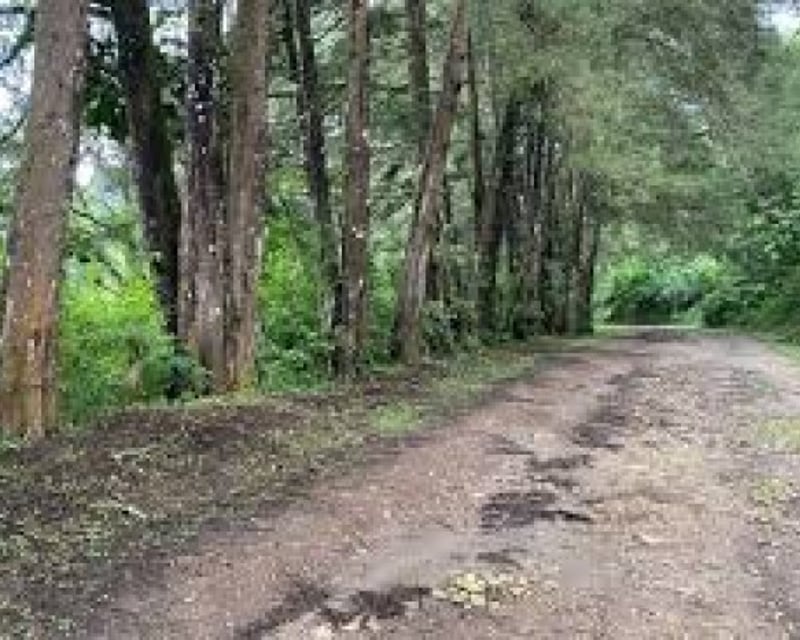 Terreno en Venta en Granja Buenos Aires