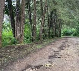 Terreno en Venta en Granja Buenos Aires
