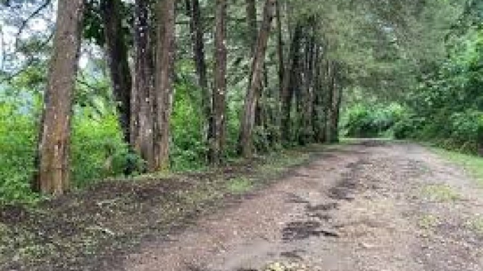 Terreno en Venta en Granja Buenos Aires