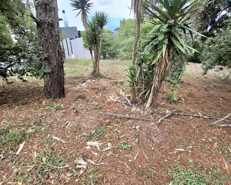 Terreno en Venta en Zona 16 El Pulté Guatemala
