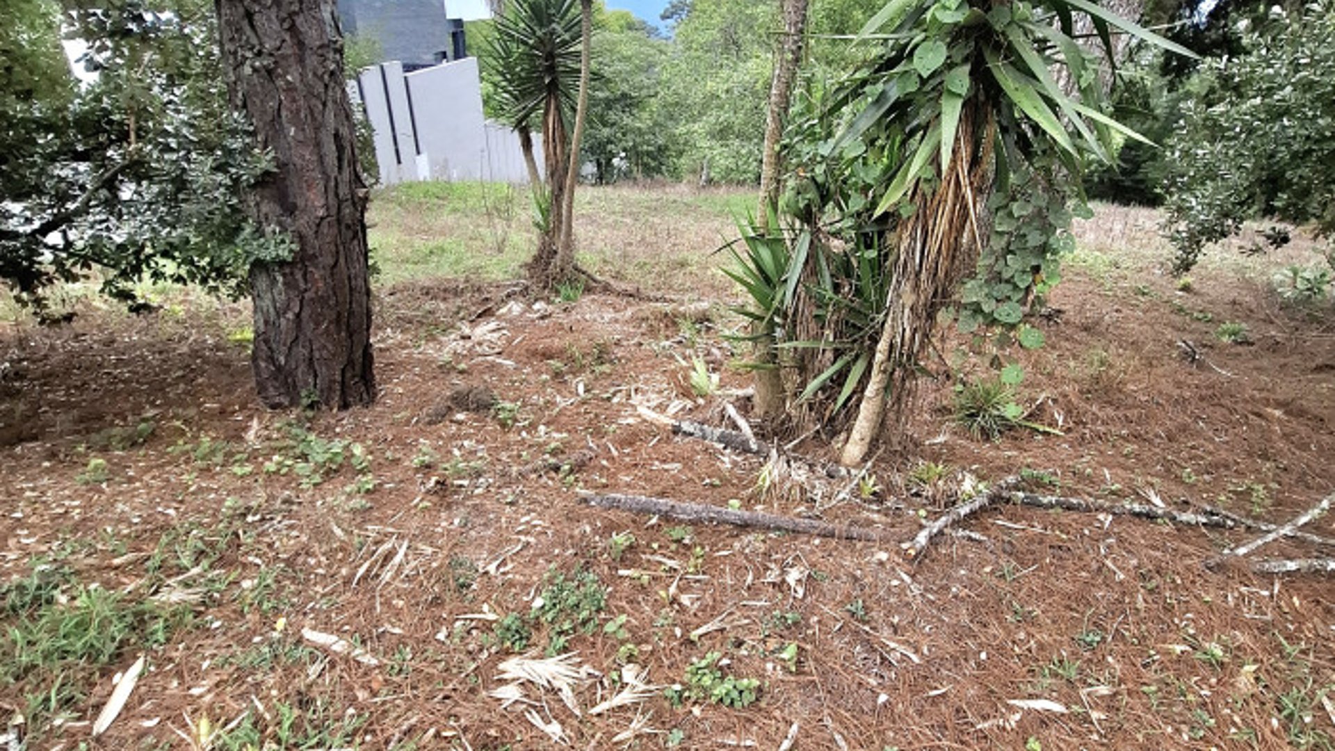 Terreno en Venta en Zona 16 El Pulté Guatemala
