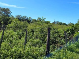 ORATORIO / Km.92 Carretera Salvador Ideal para hacer bodegas o lotificar - 2