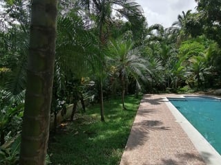 Chalet con amplio terreno en venta en Escuintla - Image 6