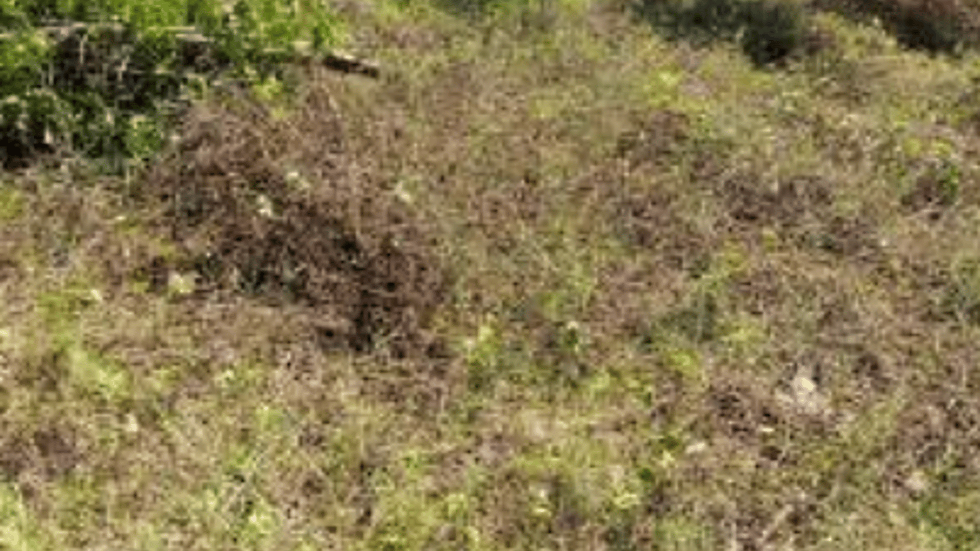 Terreno en VENTA en las Lisas Chiquimulilla - Miniatura 5
