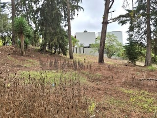 Terreno en VENTA en Zona 16, El Pulté Villa Ecuestre - 4