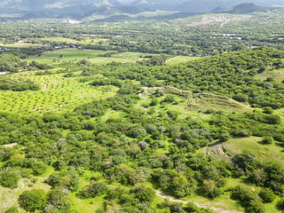 Terreno en venta, en El Progreso - 4