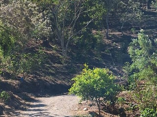 Terreno en Venta Santa Rosa de Lima - Image 8