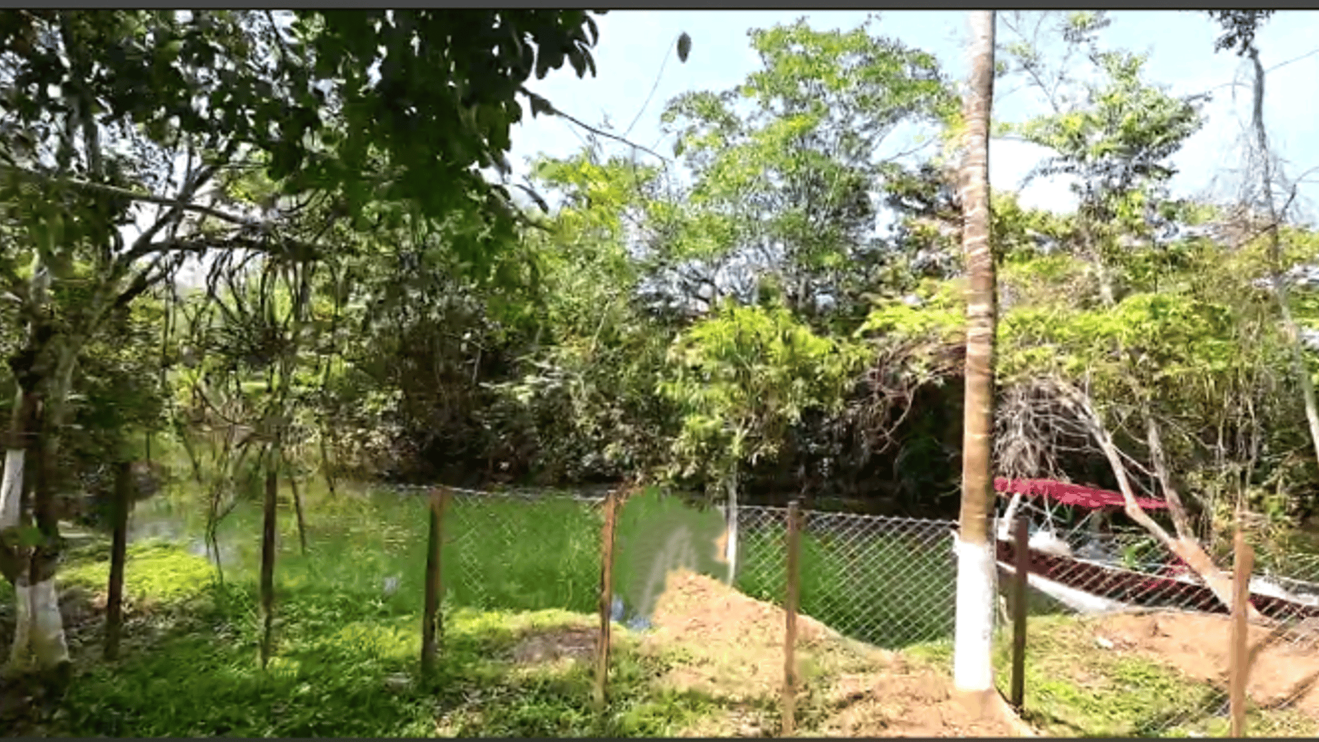 TERRENO EN VENTA EN RIO DULCE - Miniatura 2
