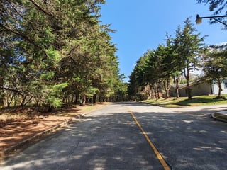 Terreno en Casa   Campo en Venta - 5