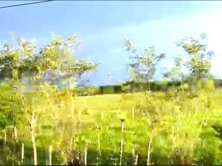TERRENO EN VENTA EN PETEN - 5