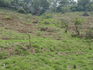 Terreno en Venta en Palencia, Guatemala - 2