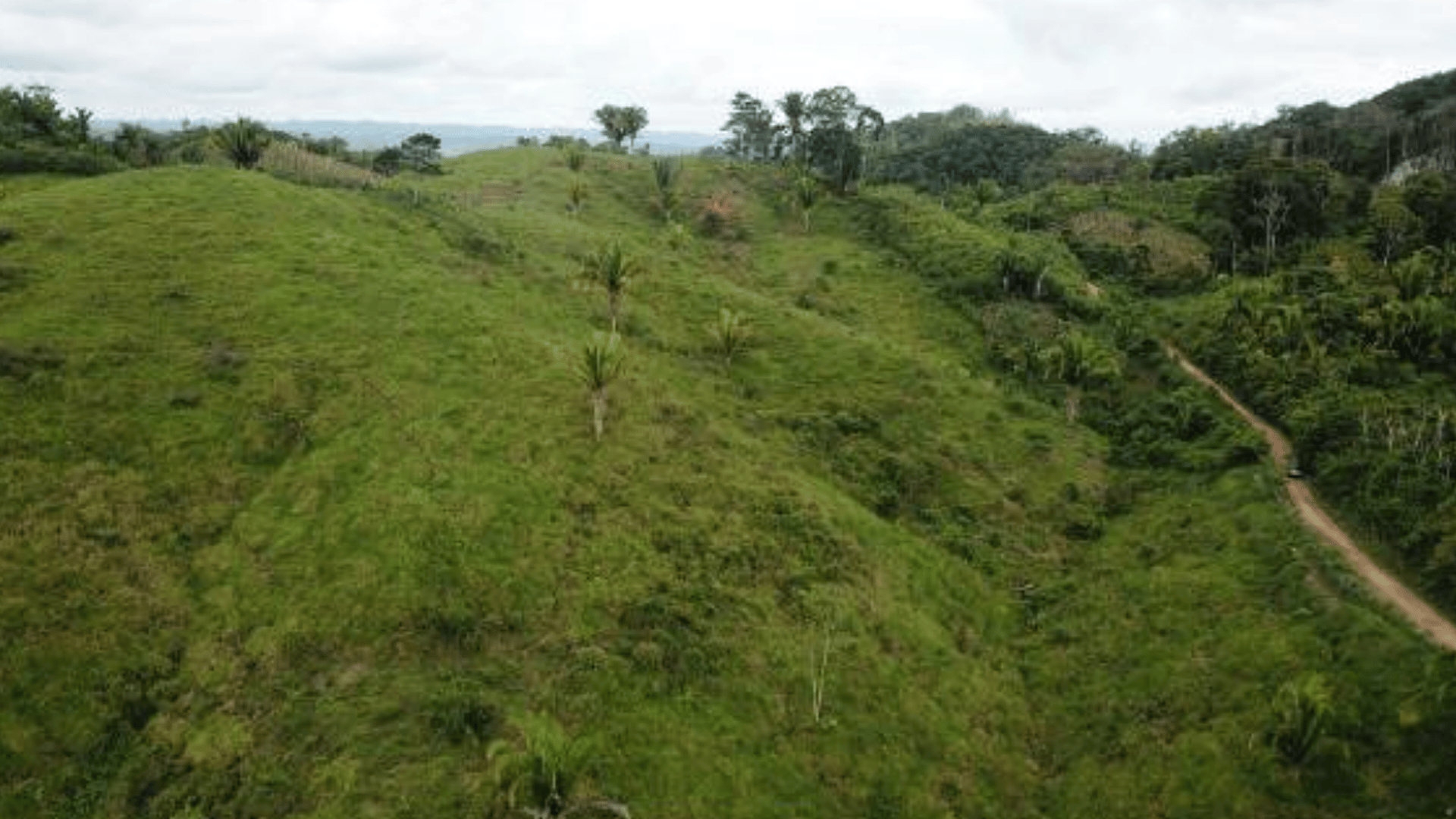 Finca en VENTA en Municipio Nuevo Chahal, Alta Verapaz - Miniatura 6