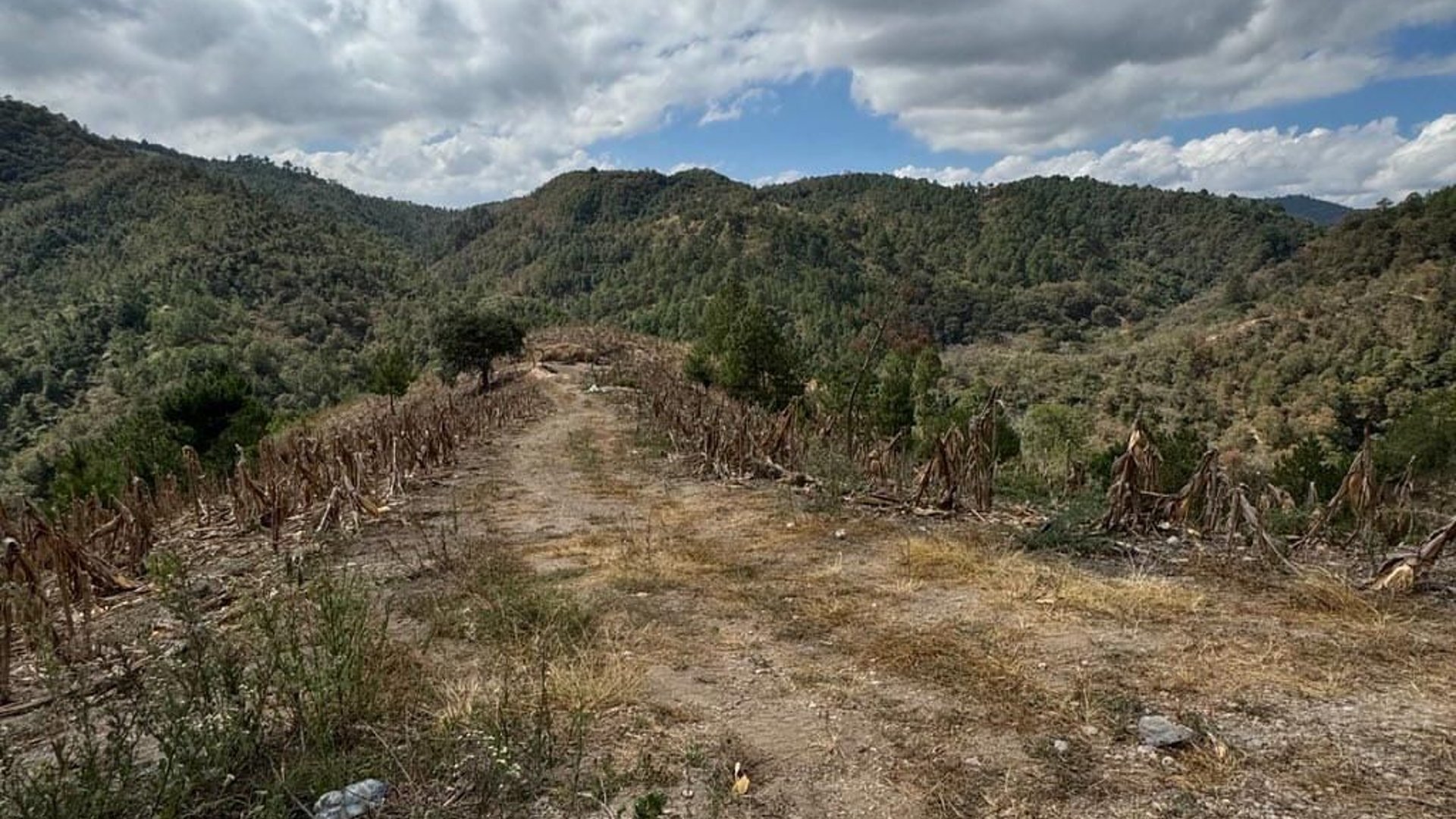 SAN PEDRO AYAMPUC/ FINCA EN VENTA PARA DESARROLLO - Miniatura 9