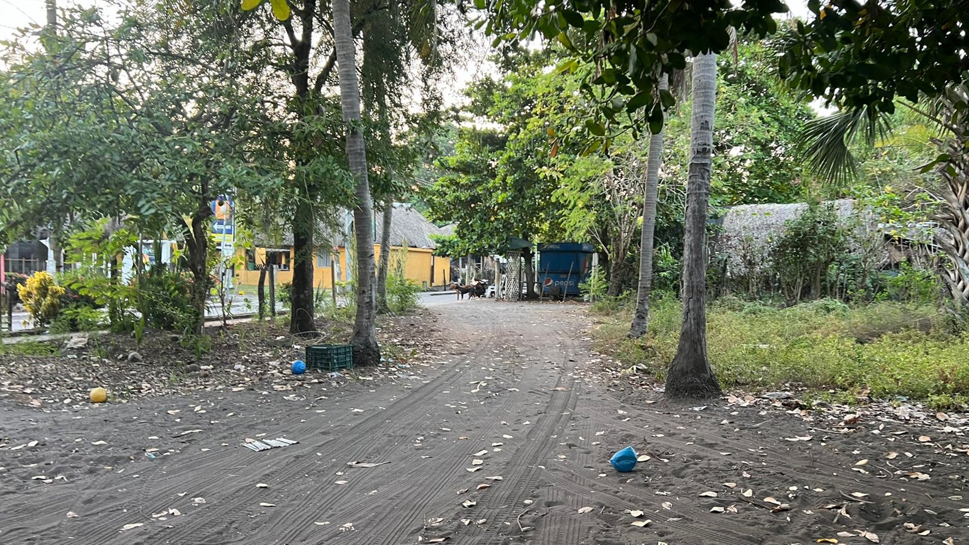 VENTA DE AMPLIO TERRENO A POCOS METROS DE LA PLAYA - MONTERRICO - Miniatura 12