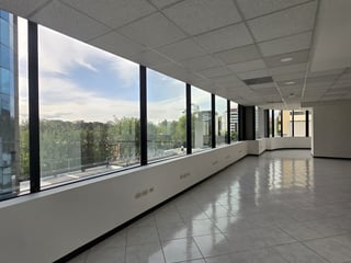 Alquiler Oficina con 315m2 en Zona 14 Europlaza - 5