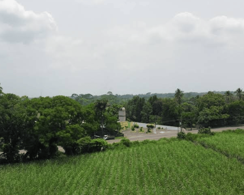 Terreno en renta en Escuintla | Finca San Jose El Socorro Km 78.5 Autopista Siquinalá