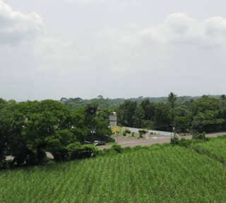 Terreno en renta en Escuintla | Finca San Jose El Socorro Km 78.5 Autopista Siquinalá