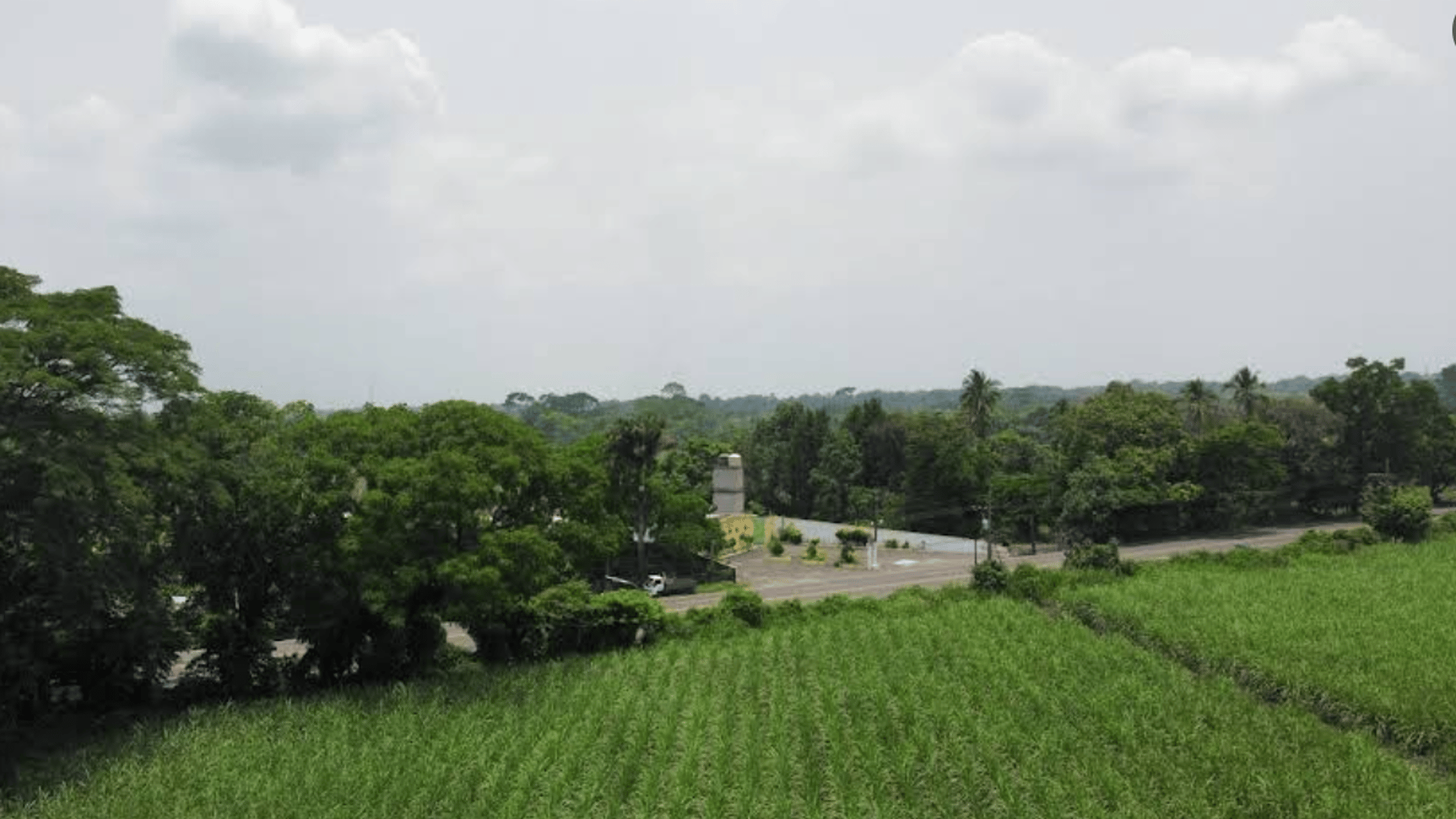 Terreno en renta en Escuintla | Finca San Jose El Socorro Km 78.5 Autopista Siquinalá