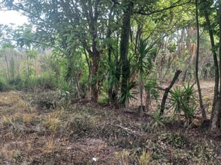 Terreno en venta Granjas Valle de Montebello/vas - 3