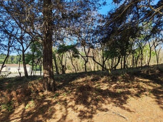 Terreno en Casa   Campo Carretera El Salvador en Venta - 2
