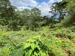 Terreno en Venta en Vista Hermosa IV, zona 16 15,000 v2 - 4
