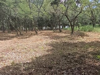 Terreno en VENTA en  Casa y Campo - 4