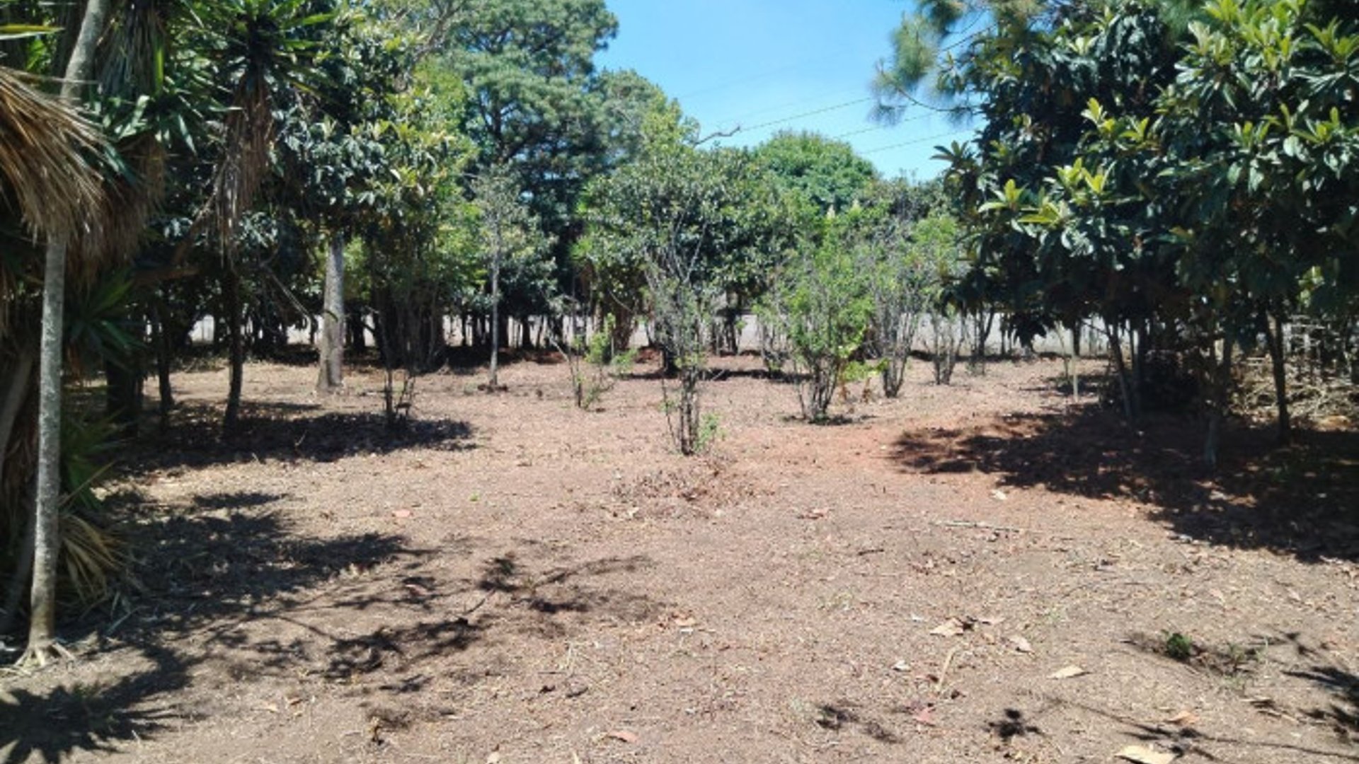TERRENO EN VENTA EN CHIMALTENANGO - Miniatura 9