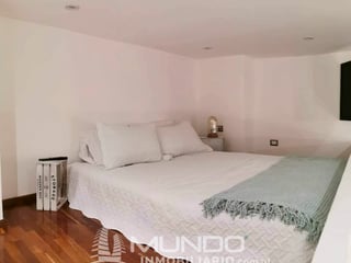 APARTAMENTO AMOBLADO TIPO LOFT EN RENTA, Z. 15 - 4