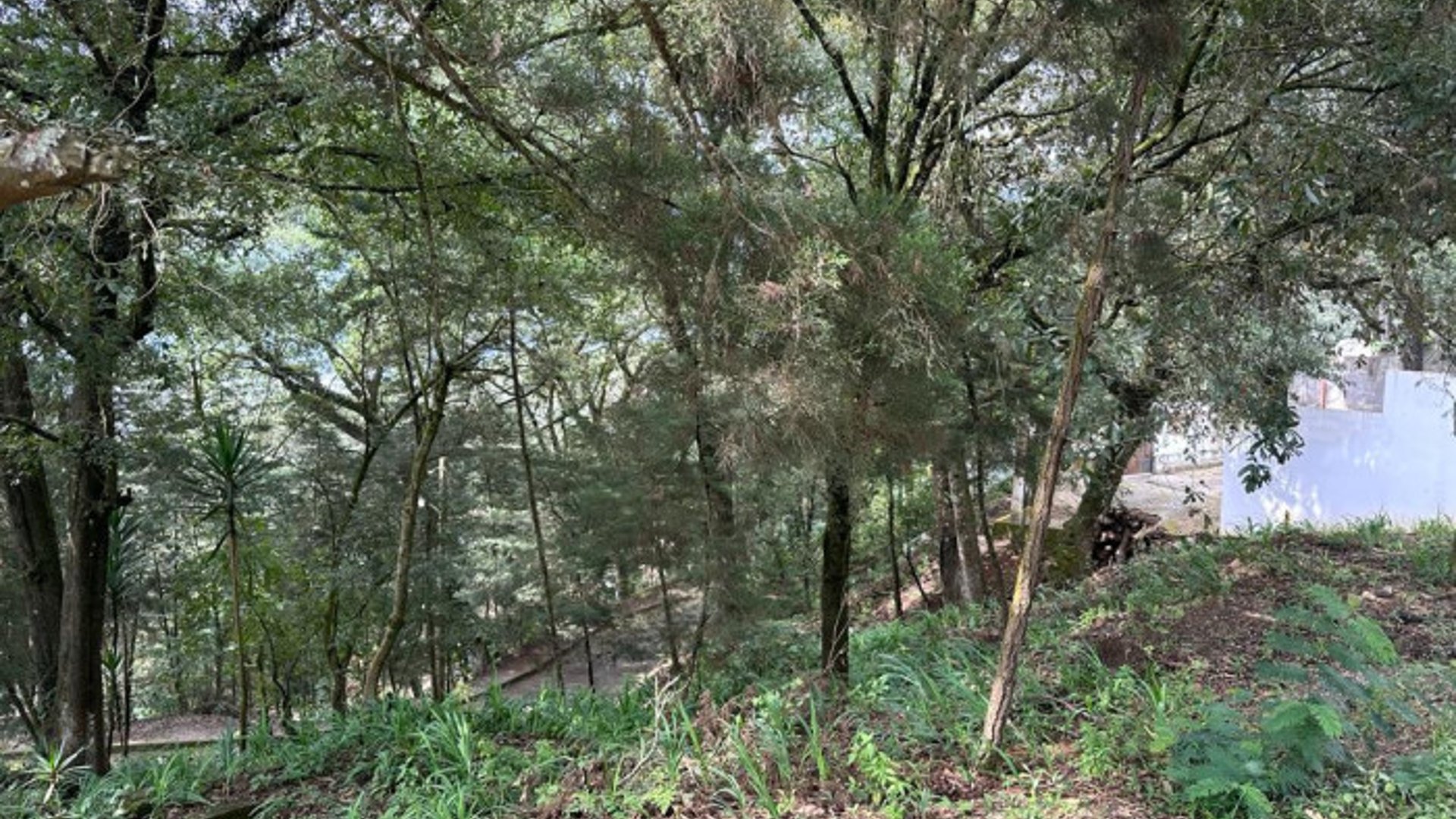 Terreno en Venta en Santa Lucia Milpas Altas - Miniatura 14