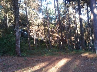 Terreno en Venta en Praderas del Bambú 2 San Raymundo - 2