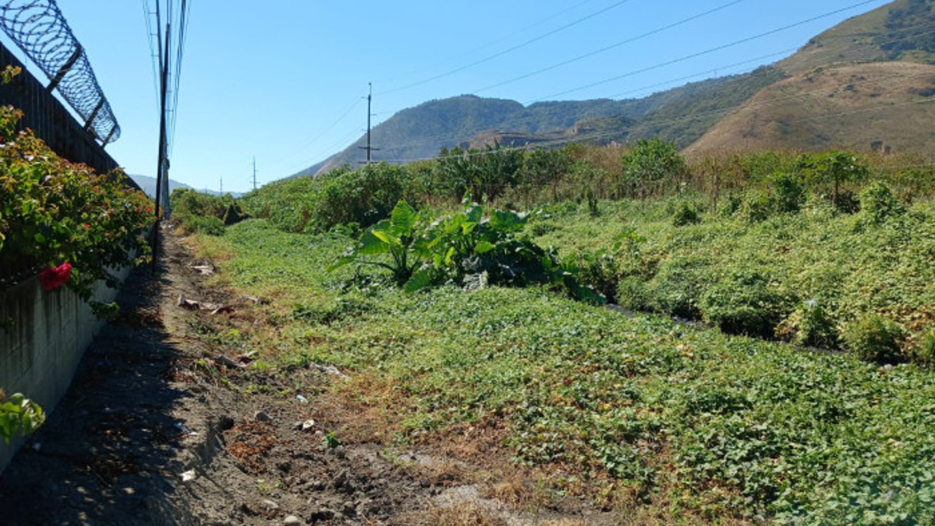 Terreno en Venta en Amatitlán - Miniatura 2
