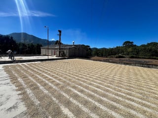 Finca en VENTA en  Barberena, Santa Rosa - 4