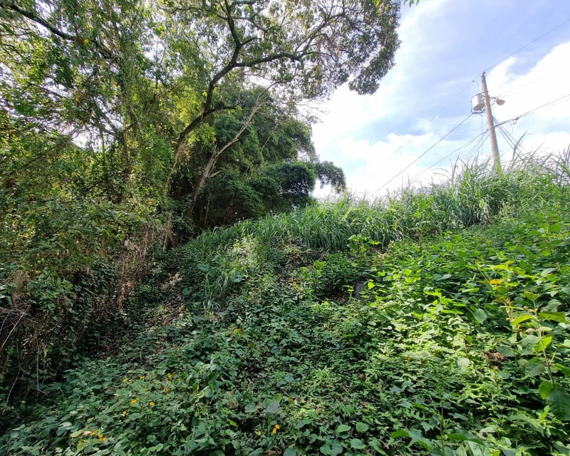 VENTA Terreno Zona 16 La Montaña - Miniatura 4