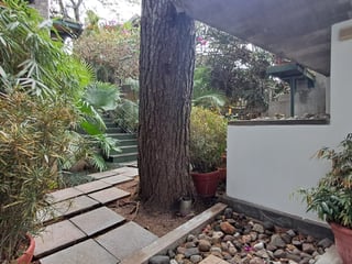 📍 APARTAMENTO EN RENTA – EDIFICIO EN COLONIA OAKLAND | ZONA 10 - Image 15