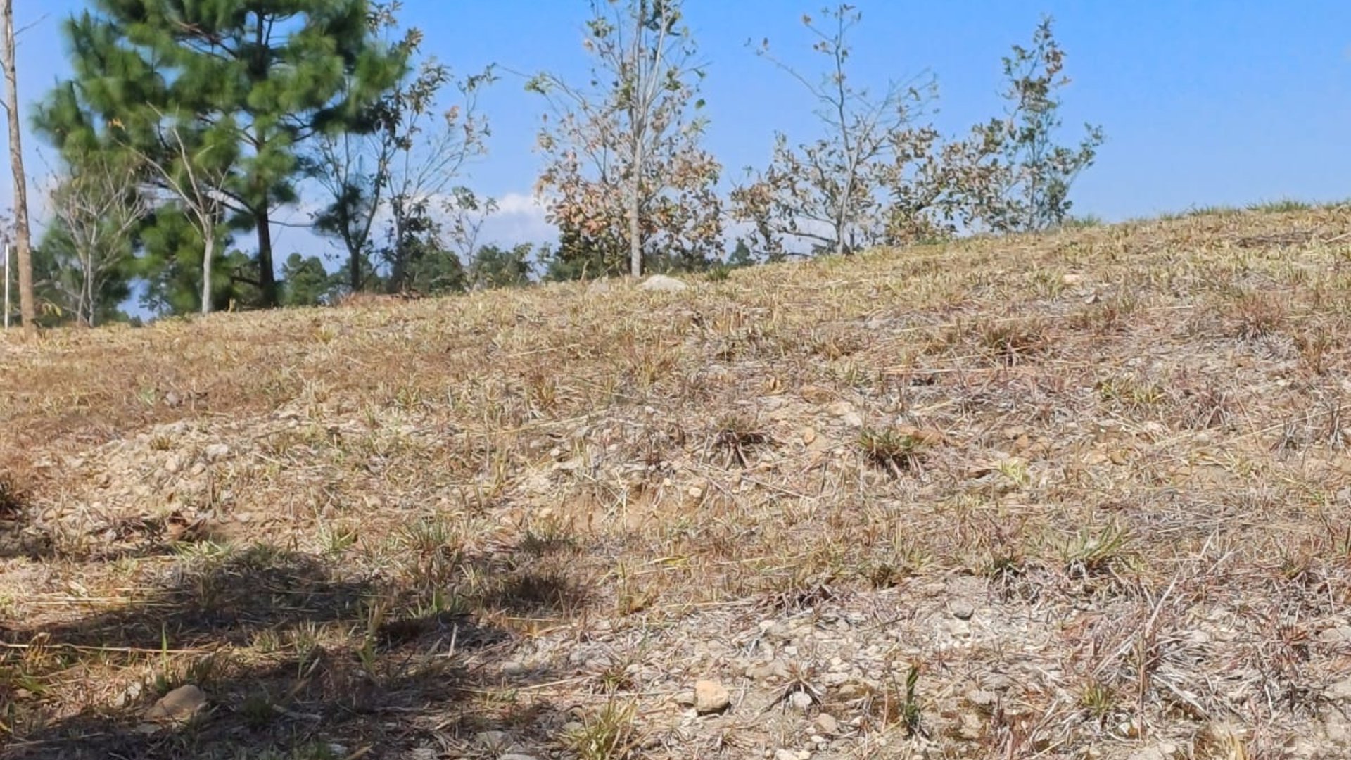 Se vende terreno en Exclusivo Club de zona 16 - Miniatura 9