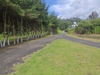 Terreno comercial renta 4586Vrs Carretera el Salvador - 2