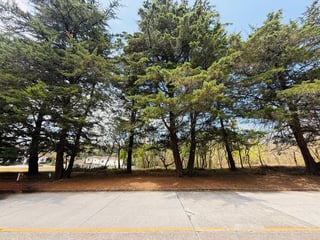 VENTA DE AMPLIOS TERRENOS - CASA & CAMPO, KM 23.5 CES - 2