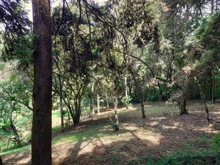 VENTA DE TERRENO EN SANTA ROSALIA LA LAGUNA - Image 5