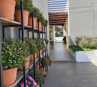 APARTAMENTO EN VENTA EN SOBRE CARRETERA AL SALVADOR EN km.14.5  