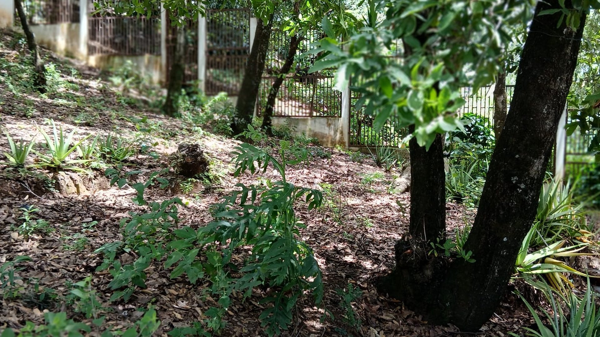 Terreno en venta en Ciudad San Cristobal