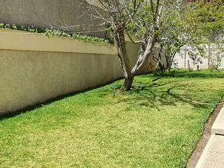 Vendo Casa San Miguel Carretera a El Salvador - Image 17