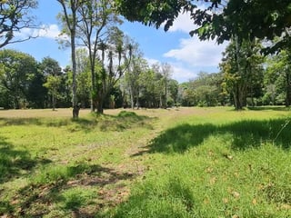 Terreno en venta para desarrollo de casas en Santa Elena Barillas – atrás del Rincón de la Finca - 4
