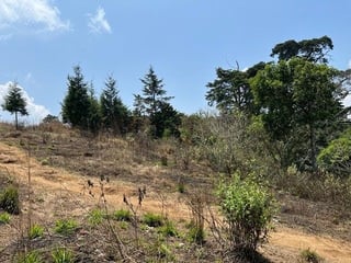 SANTA ELENA BARILLAS / Terreno en Venta - 4