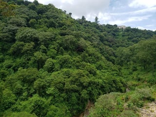 VENDO Terreno contiguo a la VAS - 4